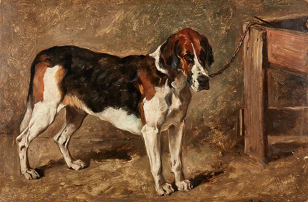 Study of a Hound (oil on board)
