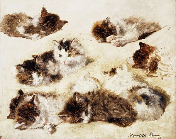 A Study of Kittens, 1898 (oil on panel)