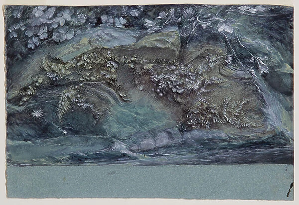 Study of Moss, Fern and Wood -Sorrel, upon a Rocky River Bank, 1875-79 (pen, ink, w / c and bodycolour on paper)