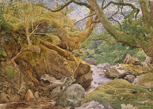 Study from Nature: Inveruglas, 1857 (w  /  c on paper)