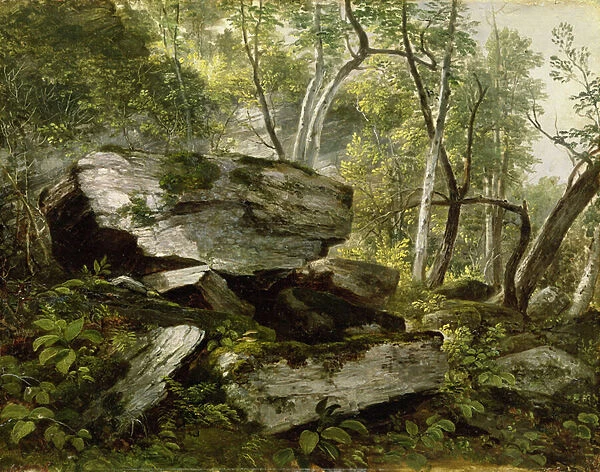 Study from Nature: Rocks and Trees, c. 1856 (oil on canvas)