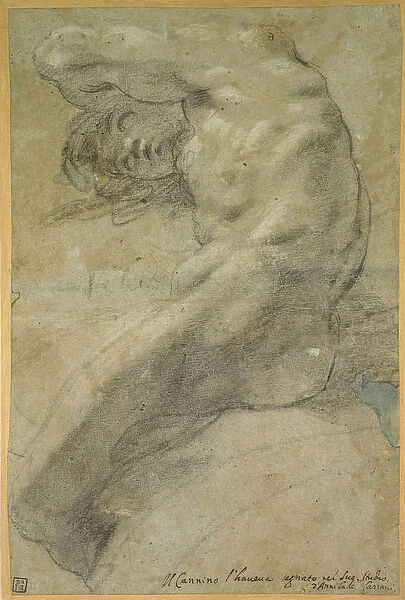 Study of a nude Man (chalk on paper)