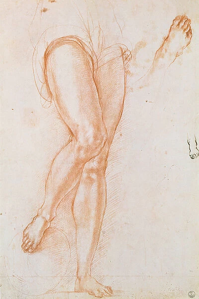 Study of a pair of legs and two feet for a figure of St