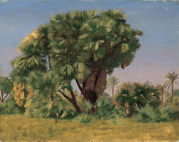 Study of Palm Trees, 1868 (oil on canvas)