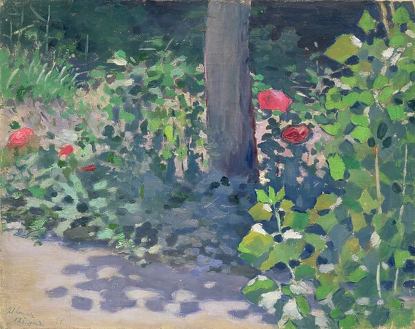 Study of Poppies in the Garden, 1894 (oil on canvas)
