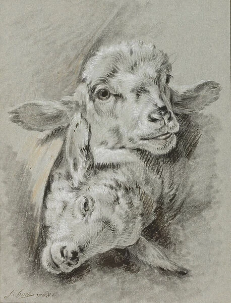 Study of two sheep, 1768 (chalk & wash on paper)