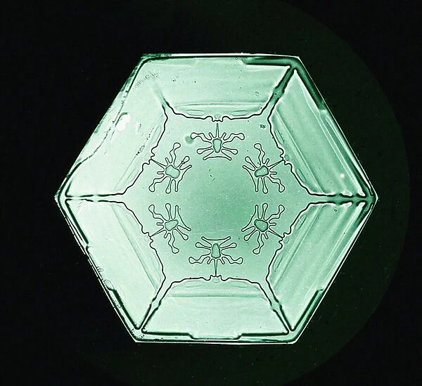Study showing the form and structure of a Snowflake, c. 1902 (photo)