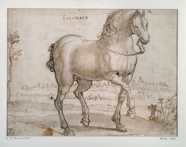 Study for a sicamber horse Drawing by Giovanni Stradano (Jan van der Straet) (1523-1605
