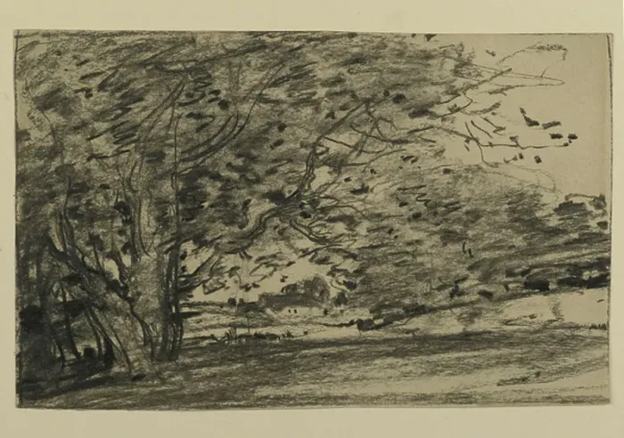 Framed Print : Study of Trees, 1870 (graphite on paper)