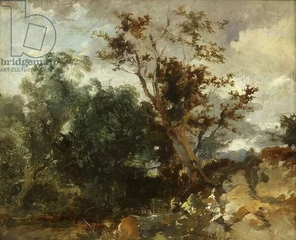 Study of Trees, c. 1840 (oil on copper)