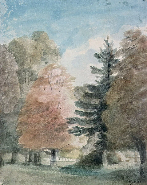 Study of Trees in a Park (watercolour)