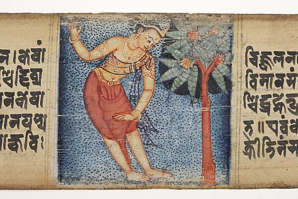 Sudhana standing beside a tree, from the Gandavyuha (opaque w  /  c & ink on palm leaf)