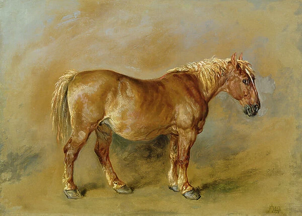 A Suffolk Punch (oil on paper laid onto canvas)
