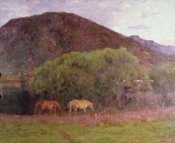 Summer Evening at Kviteseid, 1893 (oil on canvas)