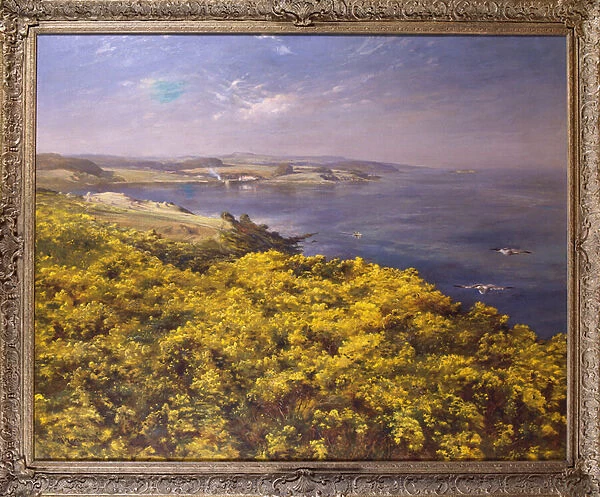 Summer on the Firth of Fourth (oil on canvas)