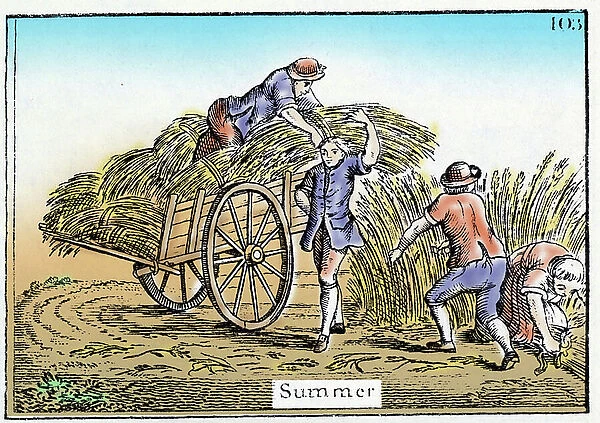 Summer: the harvest, engraving of the 18th century. London, Bowles & Carrer. © Fototeca Storica Nazionale /  Leemage
