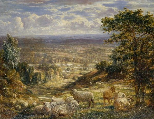 A Summer Landscape with Sheep, 1867 (oil on canvas)