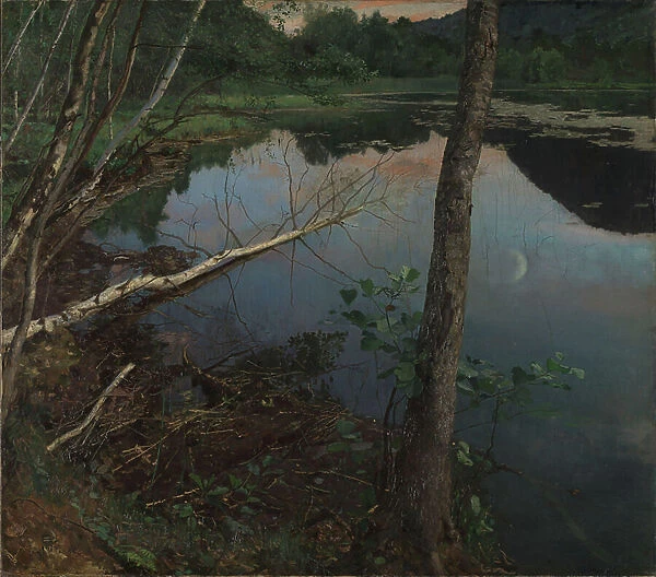 Summer Night, 1886 (oil on canvas)