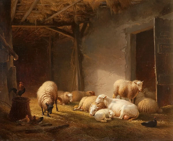 A Sunlit Barn with Ewes, Lambs and Chickens (oil on canvas)
