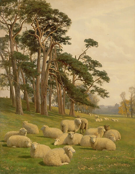 Sunlit Pastures