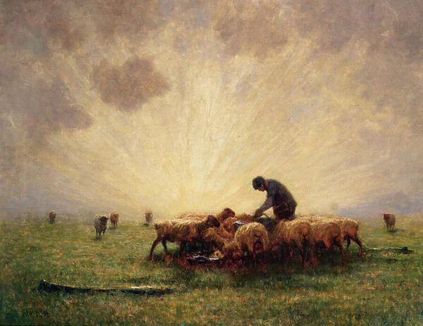 Sunrise, the Morning Feed (oil on canvas)