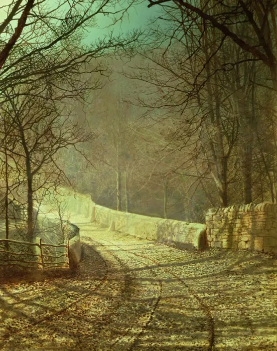 Framed Print : Sunshine through winter trees