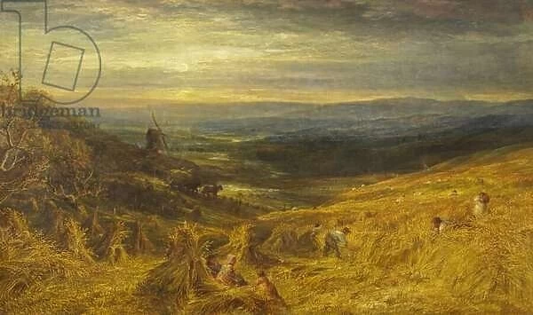 A Surrey Cornfield, c. 1877 (oil on canvas)