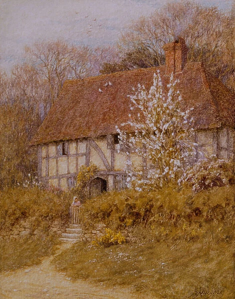A Surrey Cottage (w  /  c on paper)