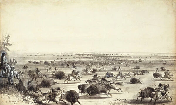 A 'Surround'of Buffalo by Indians, c. 1858 (wash on paper)