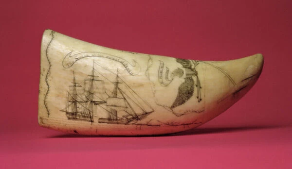 The Susan on the coast of Japan Scrimshaw (tooth)
