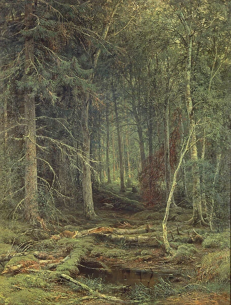 Swamp in the Forest, Autumn, 1872 (oil on canvas)