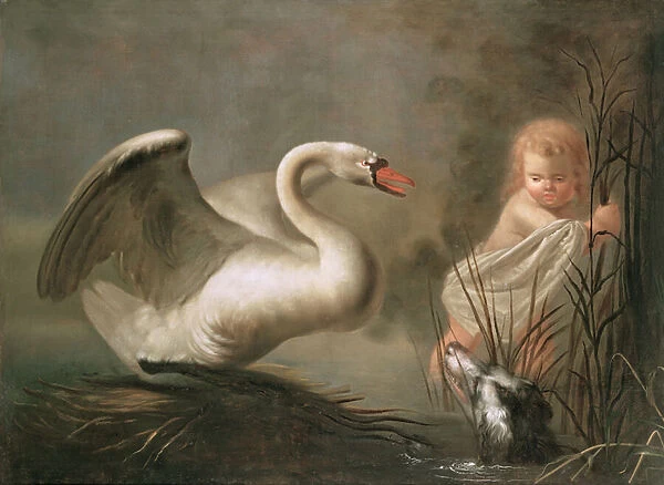 A Swan guarding its Nest from a Child and a Spaniel