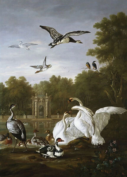 Swans, ducks and other birds in a park (oil on canvas)