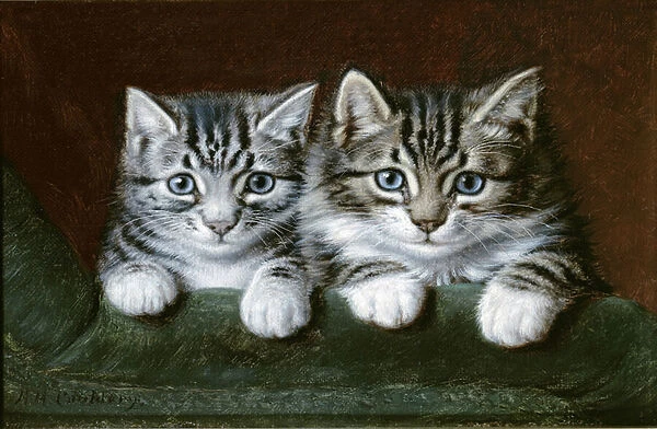 Two Tabby Kittens (oil on canvas)