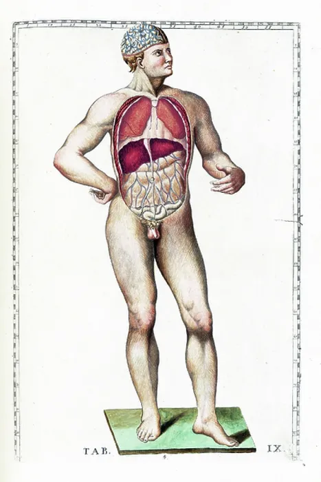 Framed Print : Tabulae anatomicae