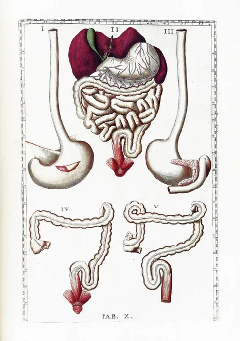 Framed Print : Tabulae anatomicae Framed Print : Tabulae anatomicae