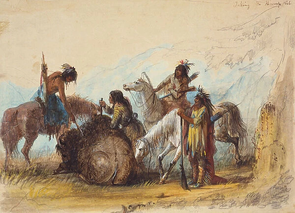 Taking the Hump Rib, c. 1858 (pencil, w  /  c and gouache on paper)