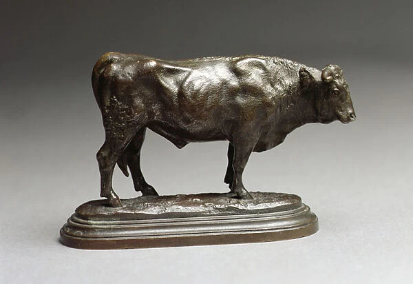 Taureau (Bull) (brown patina bronze)
