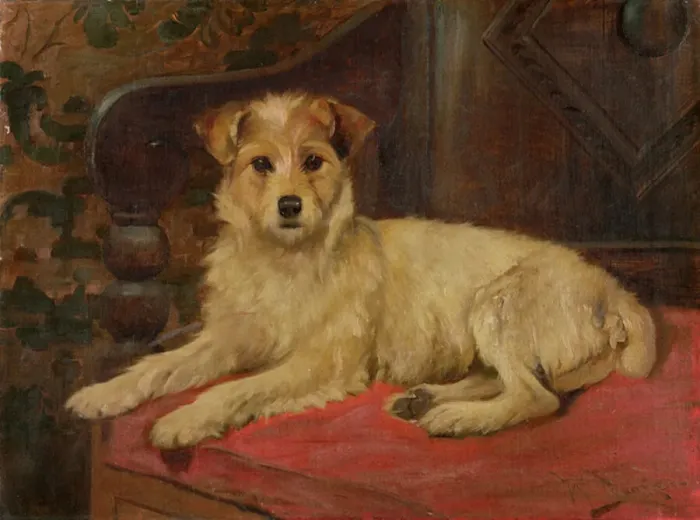 Framed Print : A Terrier on a Settee Framed Print : A Terrier on a Settee