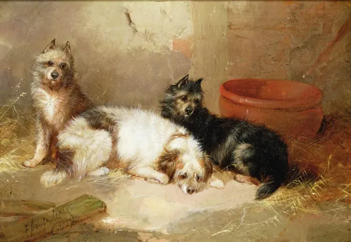 Framed Print : Three Terriers Framed Print : Three Terriers