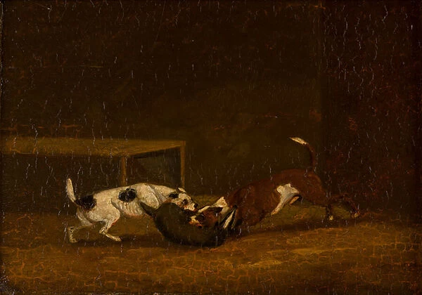 Two Terriers Badger Baiting, c. 1805-51 (oil on panel)