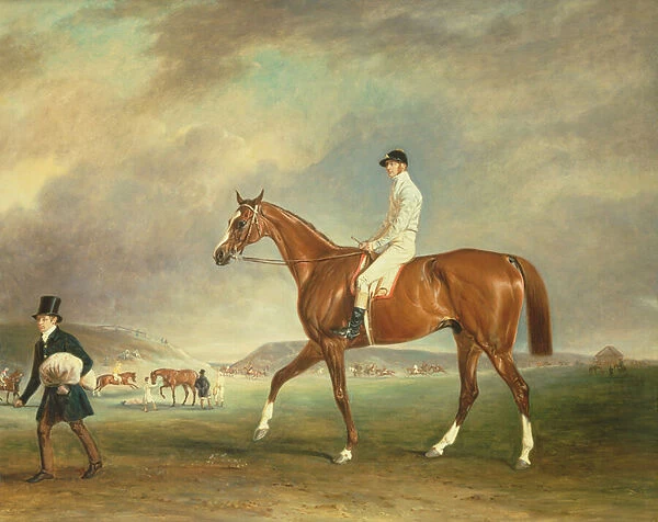 'The Cur'chestnut racehorse with jockey up on Newmarket Heath
