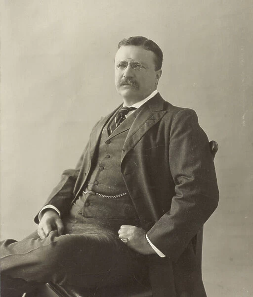 Theodore Roosevelt (b / w photo)