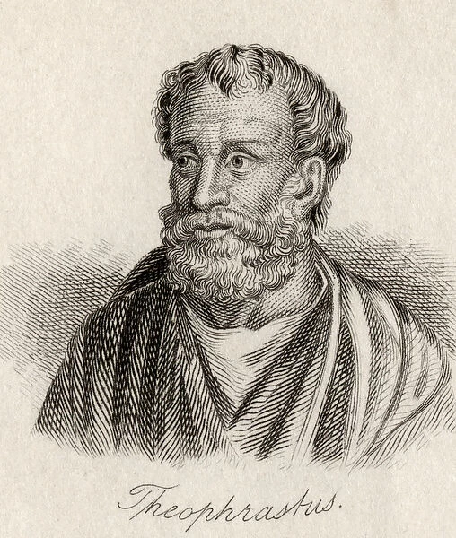 Theophrastus (engraving)