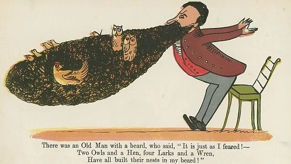 'There was an old man with a beard, who said, It is just as I feared! ', from A Book of Nonsense, published by Frederick Warne and Co. London, c. 1875 (colour litho)