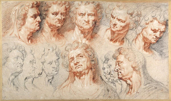 Thirteen studies based on a Roman imperial head (black & red chalks with brown ink