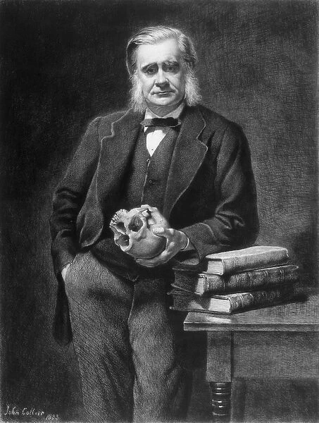 Thomas Henry Huxley (1825-95) etched by Leopold Flameng (1831-1911) 1885 (etching)