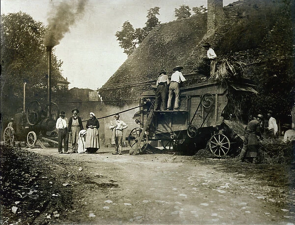 Threshing scene, late 19th century (b  /  w photo)