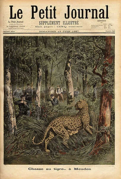 Tiger hunting in the woods of Meudon, the animal escaped from a nearby menagerie was shot dead by a regiment of soldiers of the genie. Engraving in 'Le petit journal'13  /  06  /  1897. Selva Collection