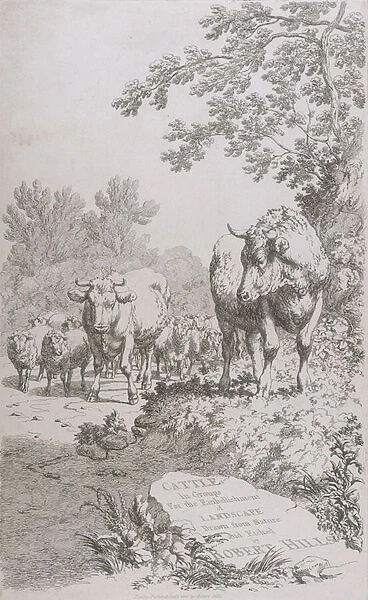 Title Page for Cattle in Groups for the embellishment of Landscape